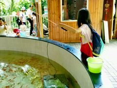 -杭州少年儿童公园