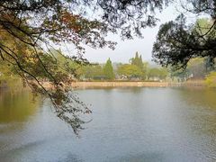 -韶山毛泽东同志故居