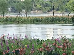 -南宁南湖公园