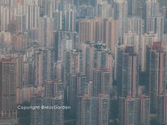 -WFC会仙楼观景台