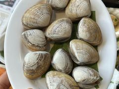 -头牌小厨·福田大排档(石厦店)