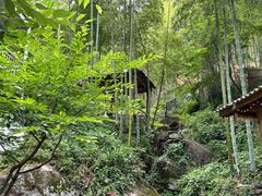 -藏龙百瀑风景区