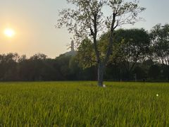 -北坞公园
