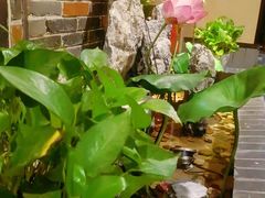 -富侨养生(光大会展店)