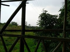 -宋船渔栈(白沙店)