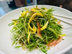 -湯記傳菜