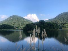 -广州市石门国家森林公园