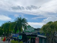 -圣淘沙天际线斜坡滑车