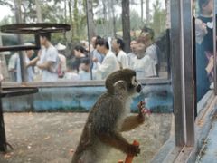 -秦皇岛野生动物园
