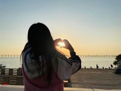 -宝安西湾红树林湿地公园