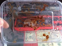 -马文章胖子甑糕(洒金桥店)