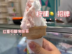 -柠檬车露(卖草地店)