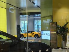 -莲花跑车(国贸商城店)