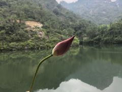 -大慈岩风景区