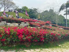 -胡里山炮台