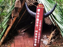 -西双版纳基诺山寨