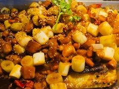 -锦尚阁烤鱼(望京新荟城店)