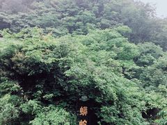 -梦幻奥陶纪景区