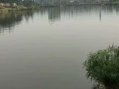 -枫香湖儿童公园