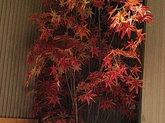 -徽镇小厨·经典徽菜(马连道店)