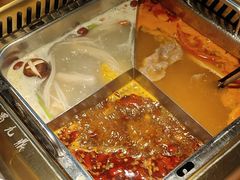 -蜀九鼎毛肚火锅(惠安店)