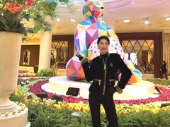 -拉斯维加斯永利酒店