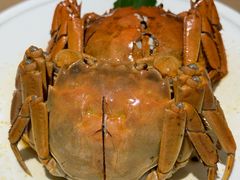 -苏小柳点心·手作小笼包(浦东嘉里城分院)