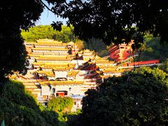 -东莞市大岭山森林公园
