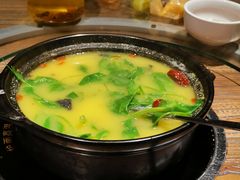 -老号尤兔头(幸福店)