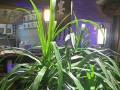 -绿茶餐厅(哈尔滨凯德店)