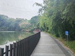 -王借岗森林公园