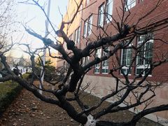 -北京市海淀外国语实验学校