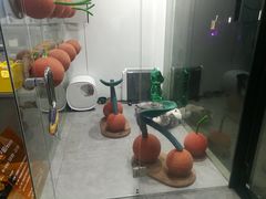 -极木²邸 人与宠物·互动社区