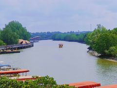 -东寨港红树林旅游区