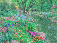 -上海共青森林公园