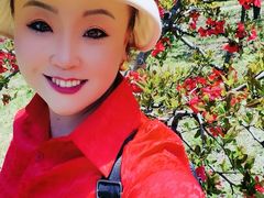 -莱阳濯村樱花园