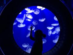 -成都浩海立方海洋公园