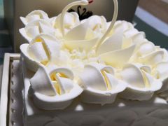 -BLACKSWAN黑天鹅(环球店)