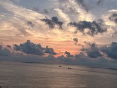 -枸杞岛