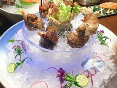 -古田居·特色寿司料理(星之岛旗舰店)