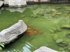 -南湾湖