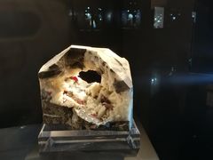 -中国地质大学逸夫博物馆