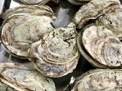 桑拿蚝-蚝专家(北滘店)