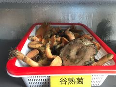 -菌海森林·非遗野生菌火锅(西山区滇池路摩根道店)
