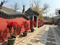 -红螺寺