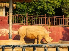 -泉州海丝野生动物世界