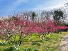 -西溪国家湿地公园