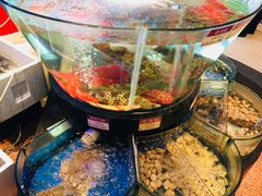 海鲜区-陶陶居海鲜酒家(新马路店)