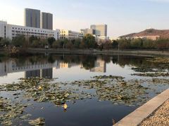 -山东大学(威海校区)