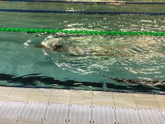 -奥林匹克体育中心游泳馆